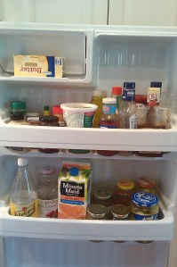 Fridge-Door the all important door